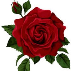 Meet your Posher, Sabrina